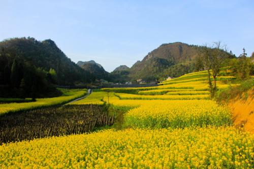 迷人的小村庄