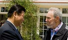 我将离去，但仍存活