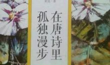 在唐诗里孤独漫步读后感