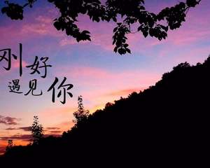 遇到你的田小