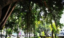 那段自由自在的日子