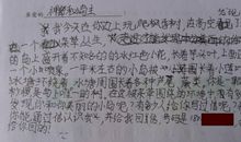 给大自然的一封信