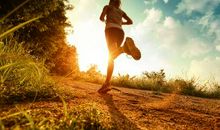 奔跑的滋味