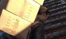 小狗使我勤快了