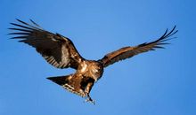 延安精神，励我前行