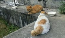 第一次偷吃东西