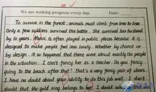 关于大学的作文