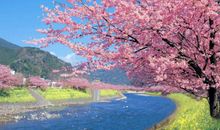 春天最想做的事