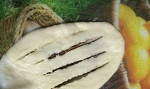 我变成了一个面包