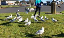 澳大利亚研学之旅