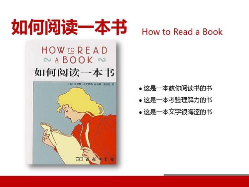 阅读使我满意