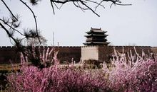 我记忆中的春天