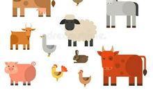 不同的做法不同的收获