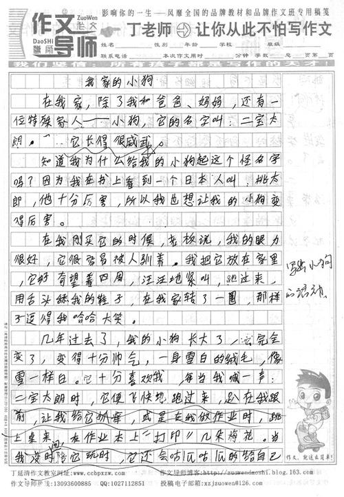 社区中300字的春天