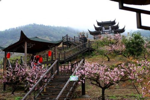 在宁波旅行