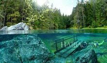 让心灵在空地中栖息