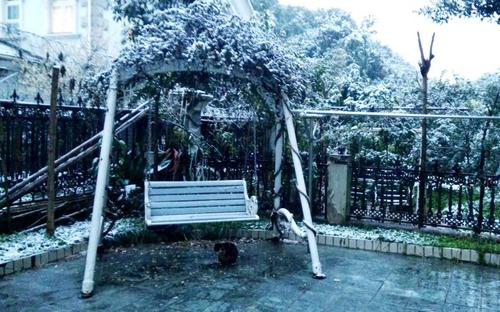 童年的雪
