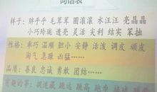 我想养的小动物100字写话