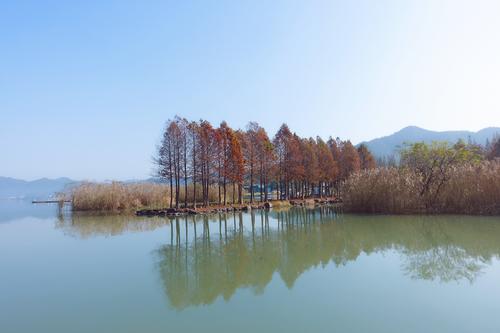 东钱湖美景