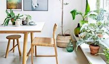 家是叫春天的地方