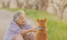 一人一狗一世界