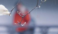 那个给我温暖的人