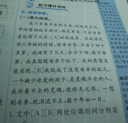 读《寻找母亲》后的感想