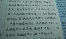 《怀念母亲》读后感