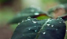 滴水之恩当涌泉相报