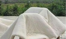 埋在时间深处的风流人物