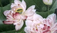 心灵深处的坚守