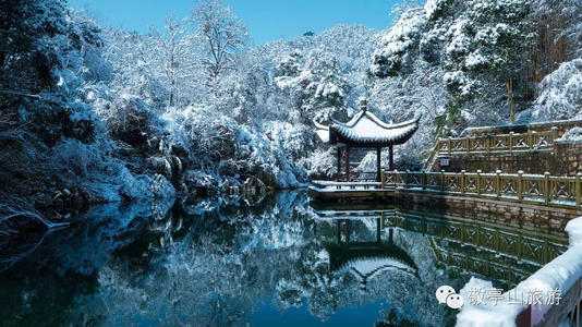 冬天的发现