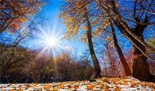 沉醉在什么的世界里