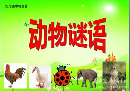 春天给我带来了谜语