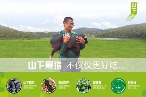 有一种力量叫做梦