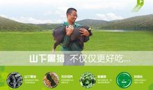 有一种力量叫梦想