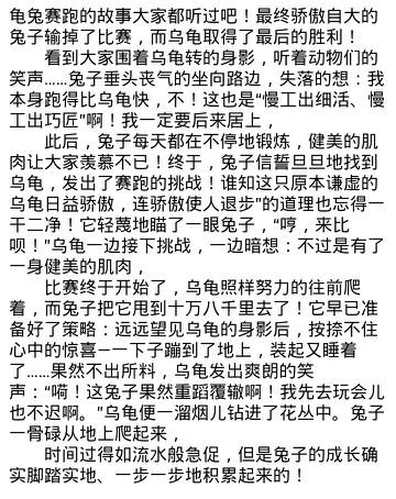 写乌龟的成分