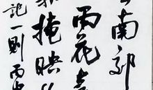 我真希望成为书法家