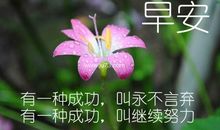 有一种力量叫努力