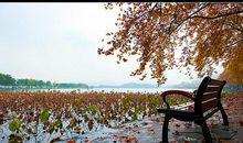 缤纷多彩的西湖