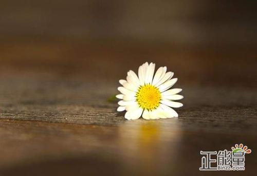 我学会了成长