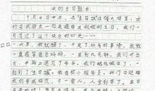 小区春天景色的作文