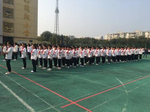 阵容比赛