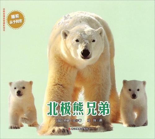 神秘的红狐狸阵列