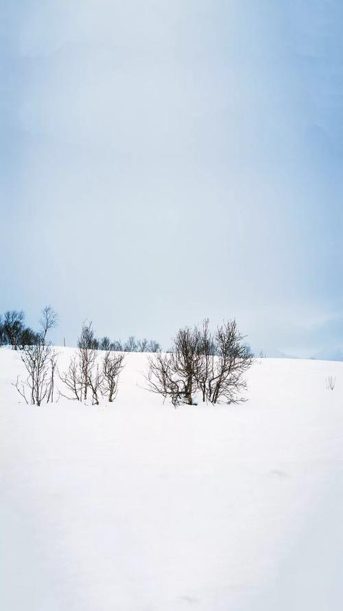 听雪螺的声音