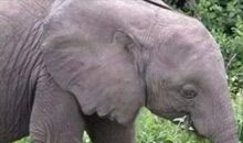 一场恐怖的考试