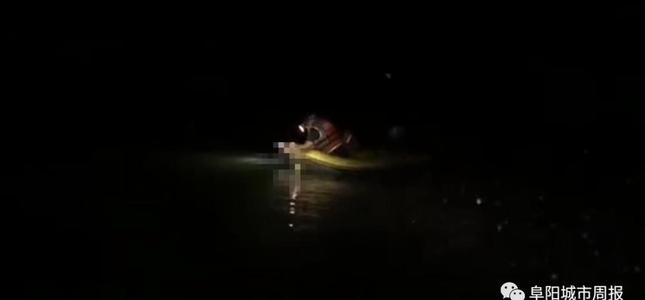 蝴蝶掉入水中
