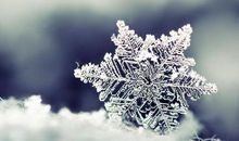 我愿做一朵飞舞的雪花