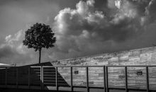 黯淡过，才明白