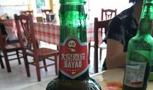 描写草原的日记